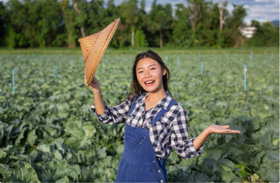 NÔNG NGHIỆP VIỆT THẮNG